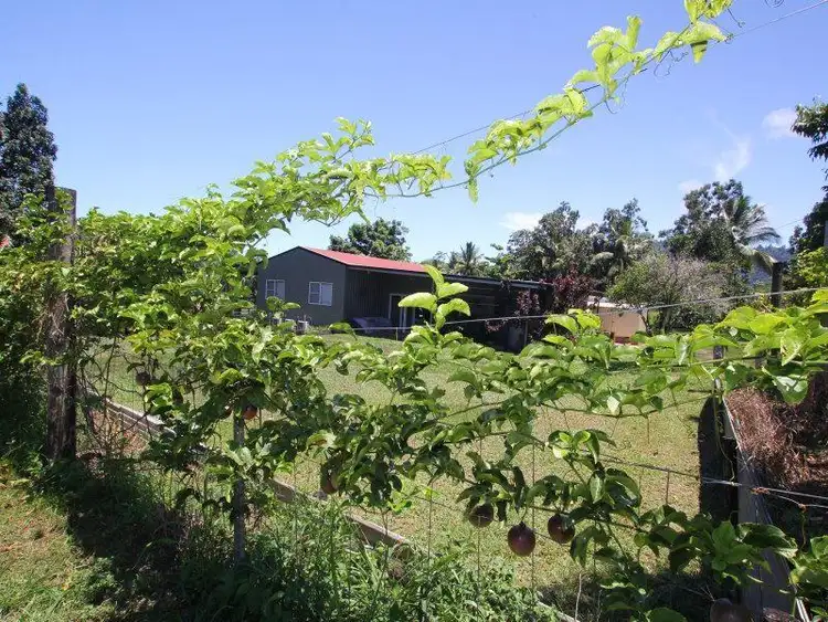 Sixth view of Homely house listing, 573 Bingil Bay Rd, Bingil Bay QLD 4852