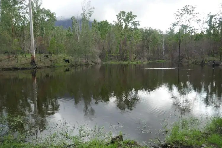 Third view of Homely rural property listing, 100 Hilderbrand Road, Kyogle NSW 2474