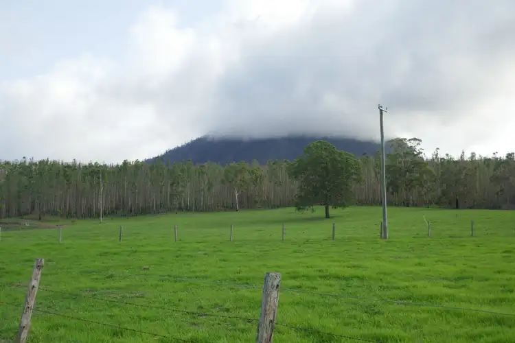 Fifth view of Homely rural property listing, 100 Hilderbrand Road, Kyogle NSW 2474