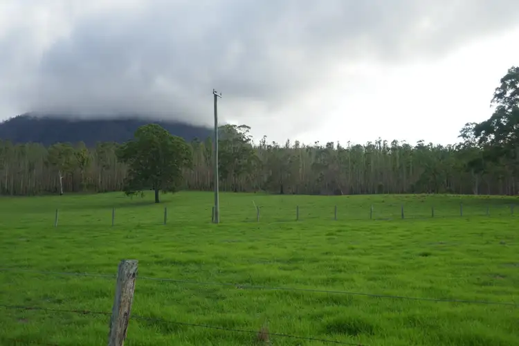 Seventh view of Homely rural property listing, 100 Hilderbrand Road, Kyogle NSW 2474