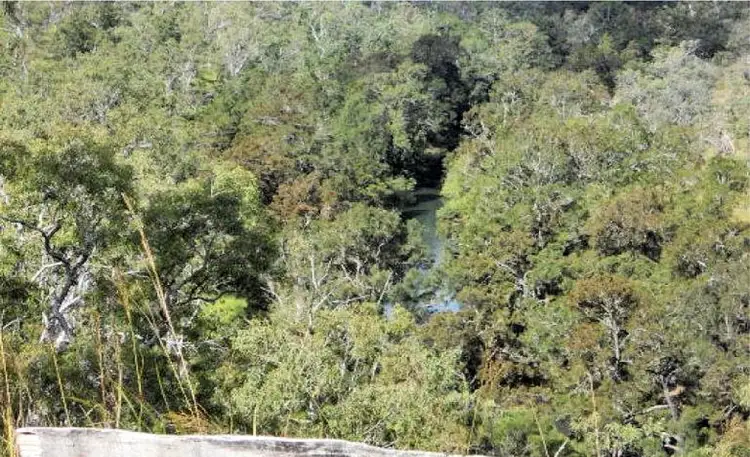 Fourth view of Homely land listing, 685 Millstream Pde, Millstream QLD 4888