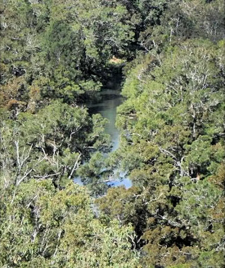 Fifth view of Homely land listing, 685 Millstream Pde, Millstream QLD 4888