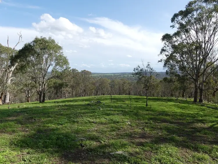 Scrims Road, Dalveen QLD 4374