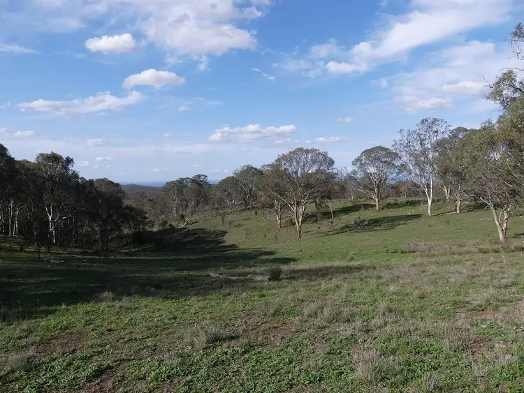 Fourth view of Homely rural property listing, Scrims Road, Dalveen QLD 4374