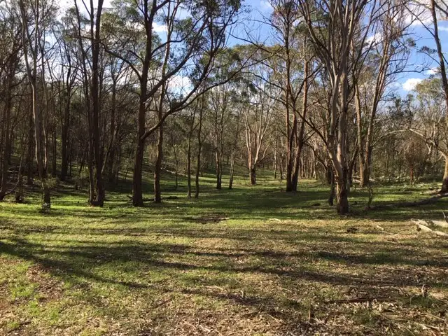 Fifth view of Homely rural property listing, Scrims Road, Dalveen QLD 4374