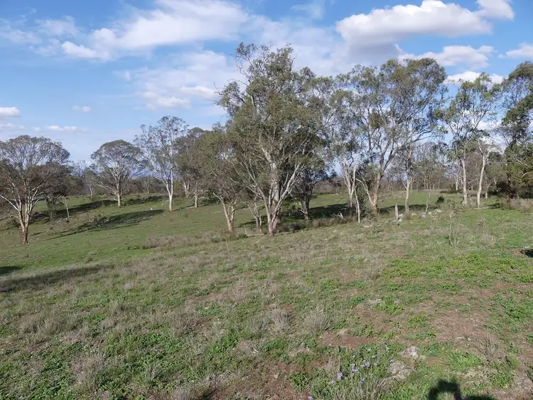 Sixth view of Homely rural property listing, Scrims Road, Dalveen QLD 4374