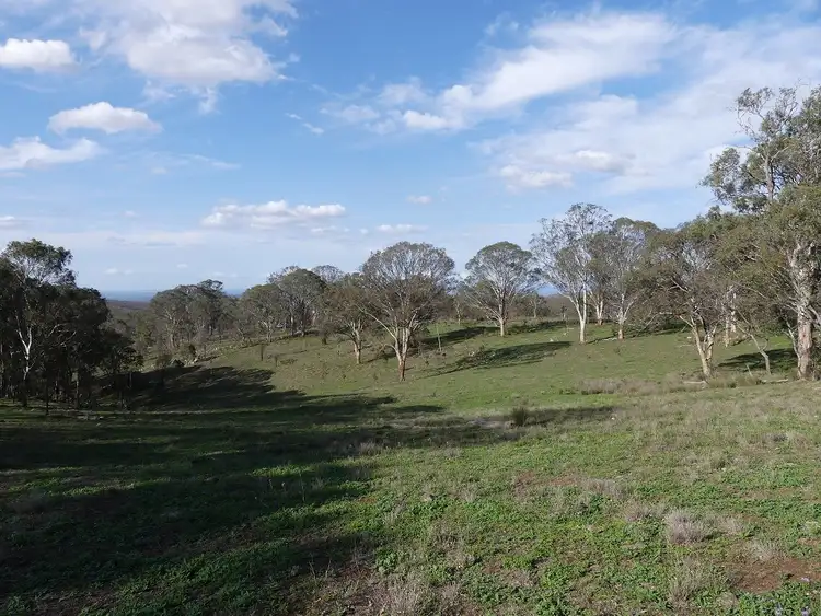 Seventh view of Homely rural property listing, Scrims Road, Dalveen QLD 4374