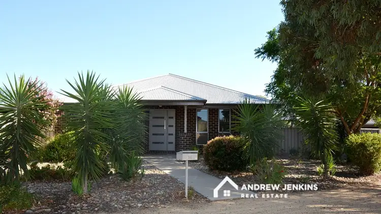 14 Bisogni Drive, Cobram VIC 3644