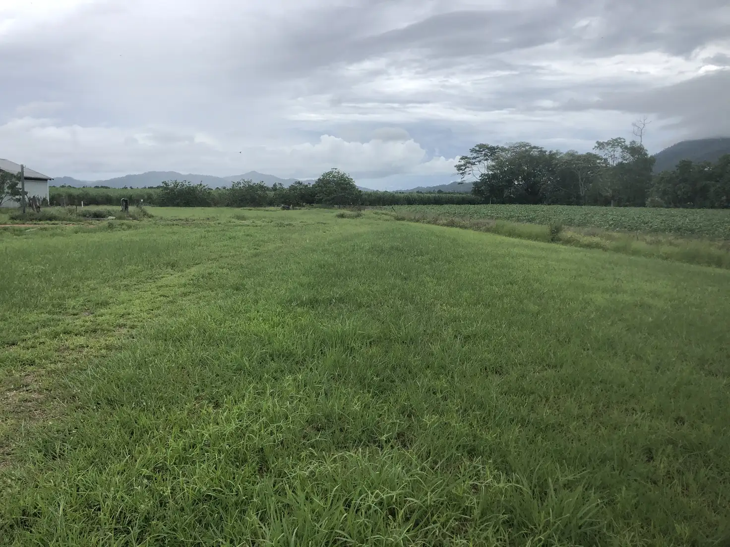 Main view of Homely land listing, Lot 2 Old Tully Road, Midgenoo QLD 4854