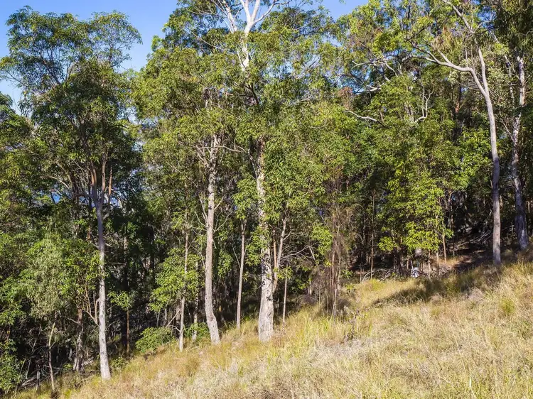 Fourth view of Homely land listing, 33 Wedgetail Court, Valdora QLD 4561