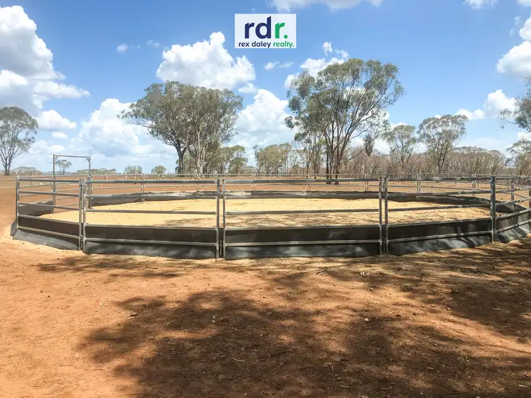 Third view of Homely rural property listing, 2767 Kings Plains Rd, Inverell NSW 2360