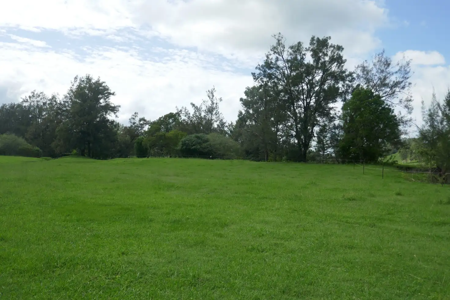 Main view of Homely rural property listing, 1197 Afterlee Rd, Kyogle NSW 2474