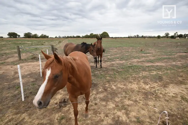 Second view of Homely land listing, Lot 2/50 Cruse Road, Cooma VIC 3616