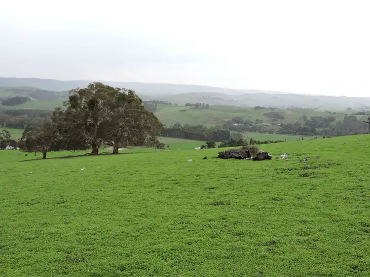 Third view of Homely rural property listing, Lot 8 Hay Flat Road St, Hay Flat SA 5204