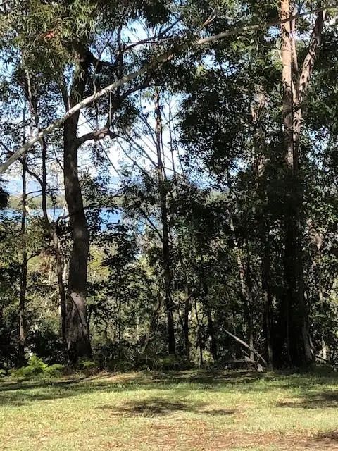 Fourth view of Homely land listing, 52 Deenya Pde, Russell Island QLD 4184