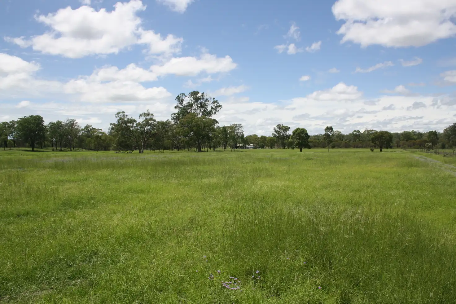Main view of Homely rural property listing, 236 Tummaville Rd, Leyburn QLD 4365