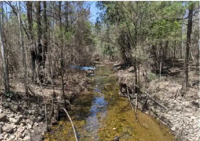 Third view of Homely rural property listing, Lot 22 & Lot 93 Willi Willi Road, Temagog NSW 2440