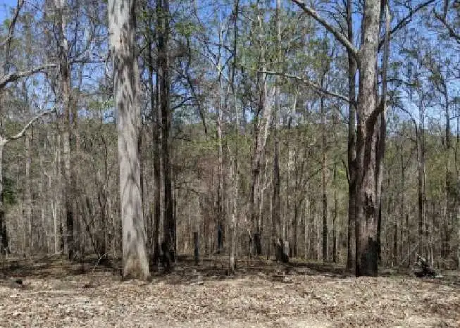 Fourth view of Homely rural property listing, Lot 22 & Lot 93 Willi Willi Road, Temagog NSW 2440