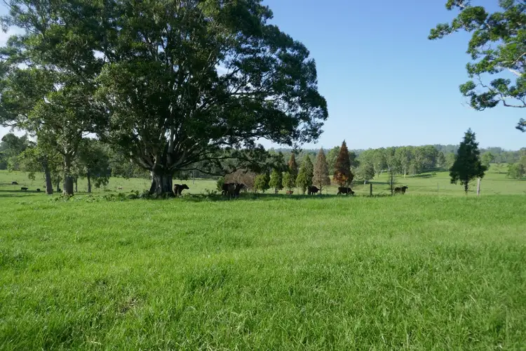 Main view of Homely rural property listing, 134 Imeson Road, Kyogle NSW 2474