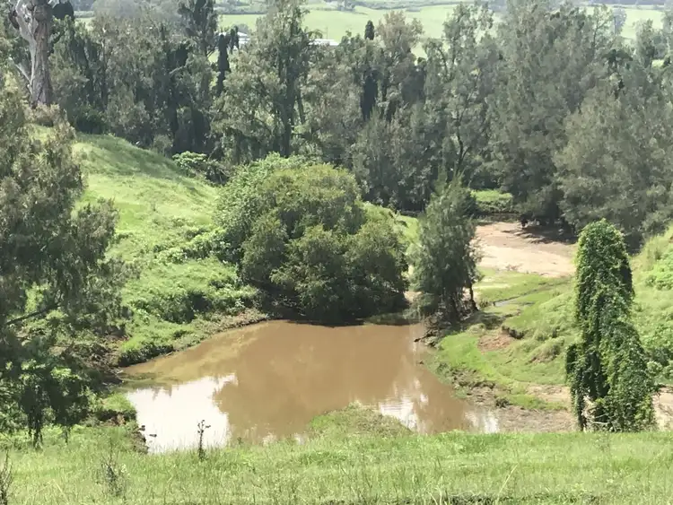 Second view of Homely rural property listing, 134 Imeson Road, Kyogle NSW 2474