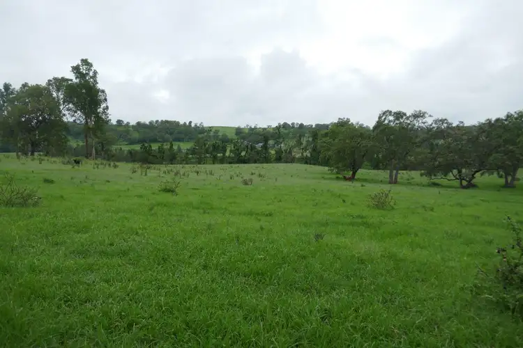 Fifth view of Homely rural property listing, 134 Imeson Road, Kyogle NSW 2474
