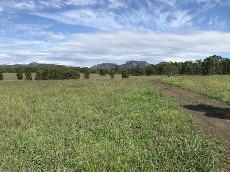 Main view of Homely rural property listing, 155 Jacks Rd, Gloucester NSW 2422