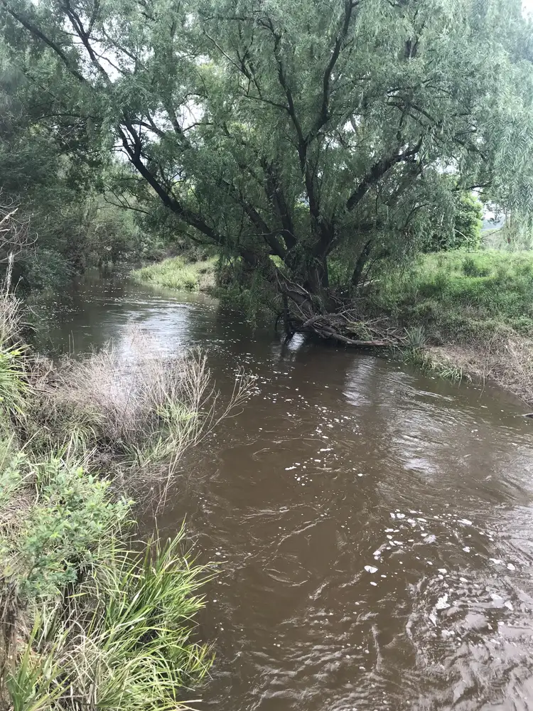 Second view of Homely rural property listing, 155 Jacks Rd, Gloucester NSW 2422