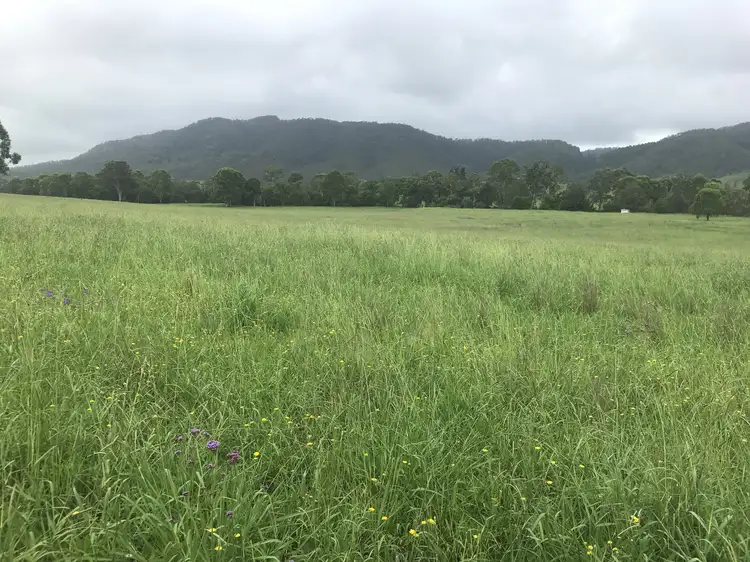 Seventh view of Homely rural property listing, 155 Jacks Rd, Gloucester NSW 2422