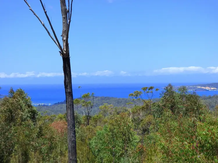Fourth view of Homely rural property listing, Lots C-G/256 Towamba Road, Eden NSW 2551