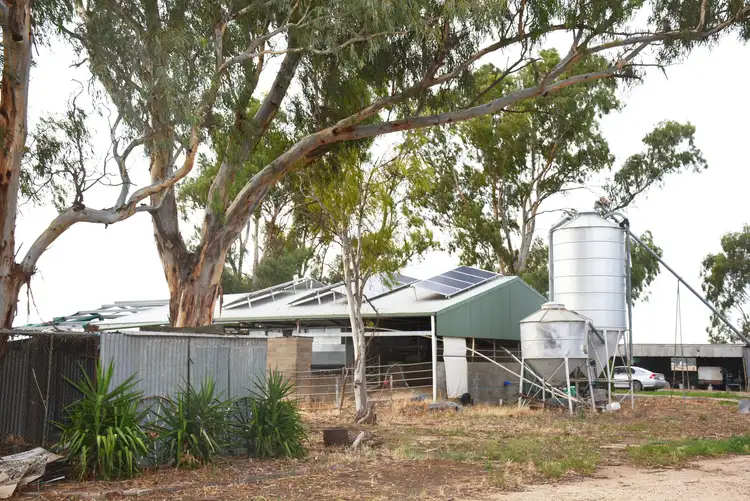 Sixth view of Homely rural property listing, 1860 Numurkah Rd, Strathmerton VIC 3641