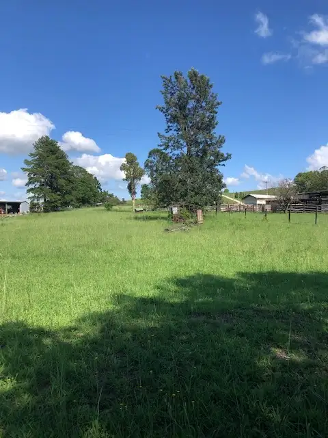 Seventh view of Homely house listing, 348 Collins Creek Rd, Kyogle NSW 2474