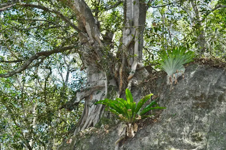 Seventh view of Homely house listing, 6-8 Webbs Creek Rd, Wisemans Ferry NSW 2775