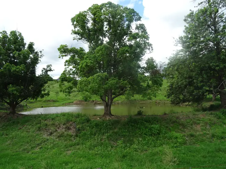 Third view of Homely rural property listing, 115 Tunstall Rd, Mount Alford QLD 4310