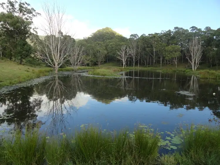 Third view of Homely rural property listing, Lots 393 & 394 Gorge Creek Road, Kyogle NSW 2474