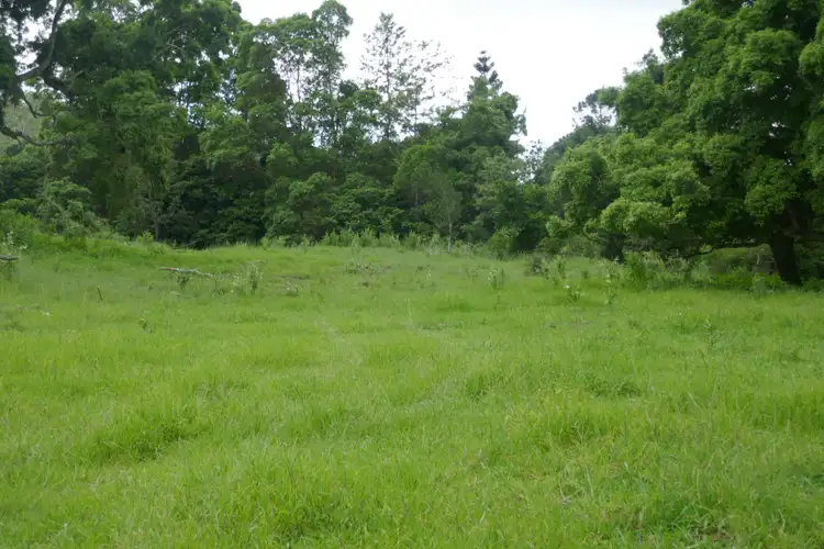 Seventh view of Homely rural property listing, Lots 393 & 394 Gorge Creek Road, Kyogle NSW 2474
