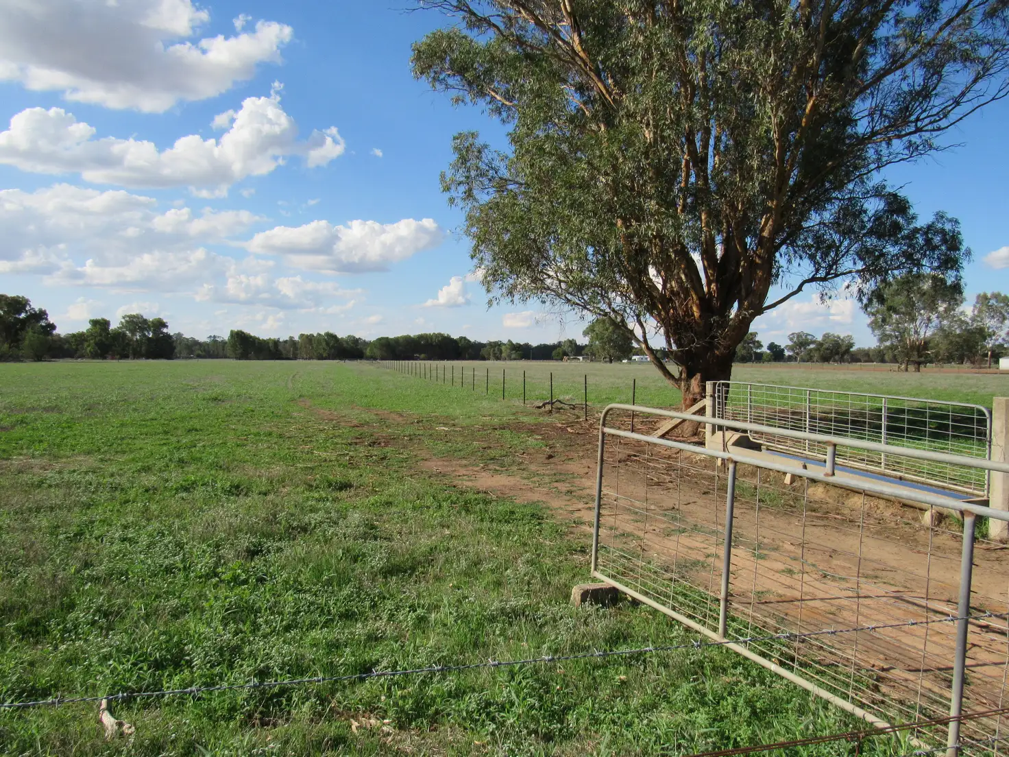 Main view of Homely land listing, . Corner Lookout & Cummings Roads, Walla Walla NSW 2659