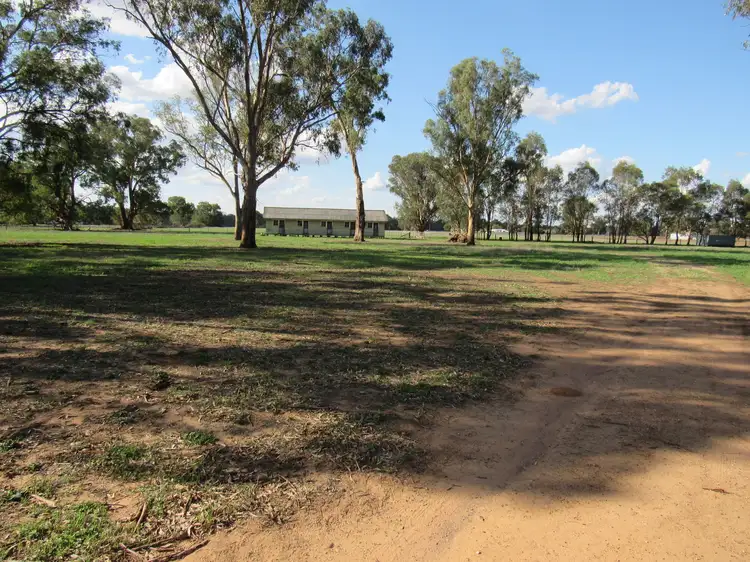 Third view of Homely land listing, . Corner Lookout & Cummings Roads, Walla Walla NSW 2659