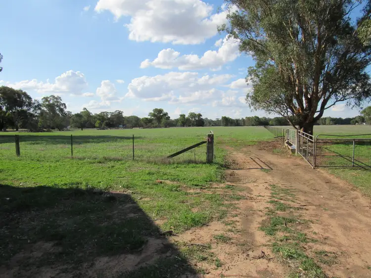 Seventh view of Homely land listing, . Corner Lookout & Cummings Roads, Walla Walla NSW 2659