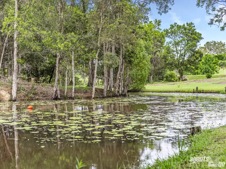 Fifth view of Homely house listing, 15 Bickle Rd, Veteran QLD 4570