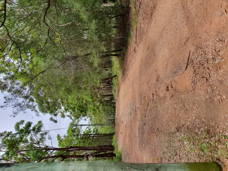 Third view of Homely land listing, 19 Cypress Avenue, Russell Island QLD 4184
