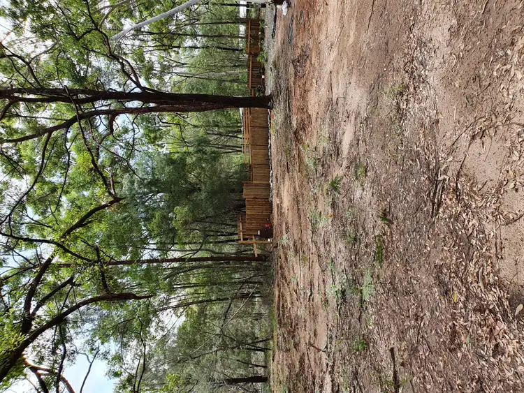 Fifth view of Homely land listing, 19 Cypress Avenue, Russell Island QLD 4184