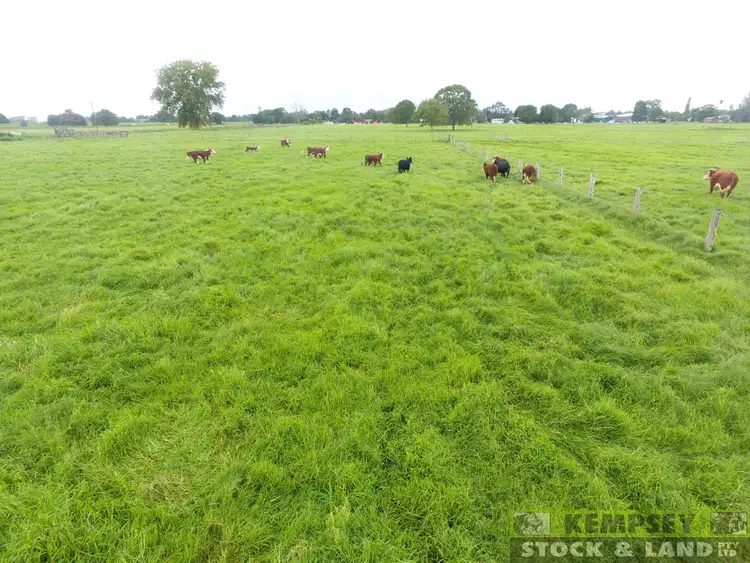 Sixth view of Homely land listing, Lots 251 & 252 First Lane, Kempsey NSW 2440