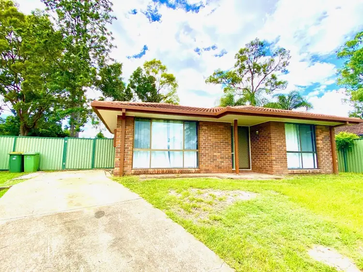 17 Levestam Ct, Carrara QLD 4211