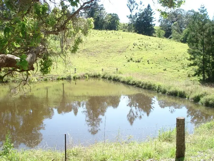 Fifth view of Homely rural property listing, 432 Sargents Road, Kyogle NSW 2474