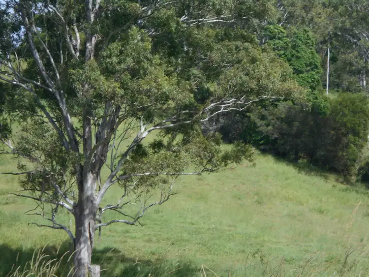 Sixth view of Homely rural property listing, Address available on request