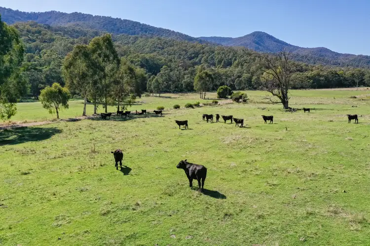 Second view of Homely rural property listing, 688 Kancoona South Rd, Kancoona VIC 3691