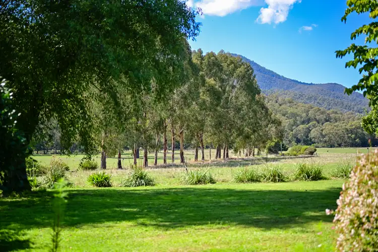 Third view of Homely rural property listing, 688 Kancoona South Rd, Kancoona VIC 3691