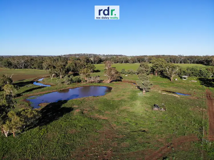 Third view of Homely rural property listing, 711 Mount Russell Rd, Inverell NSW 2360