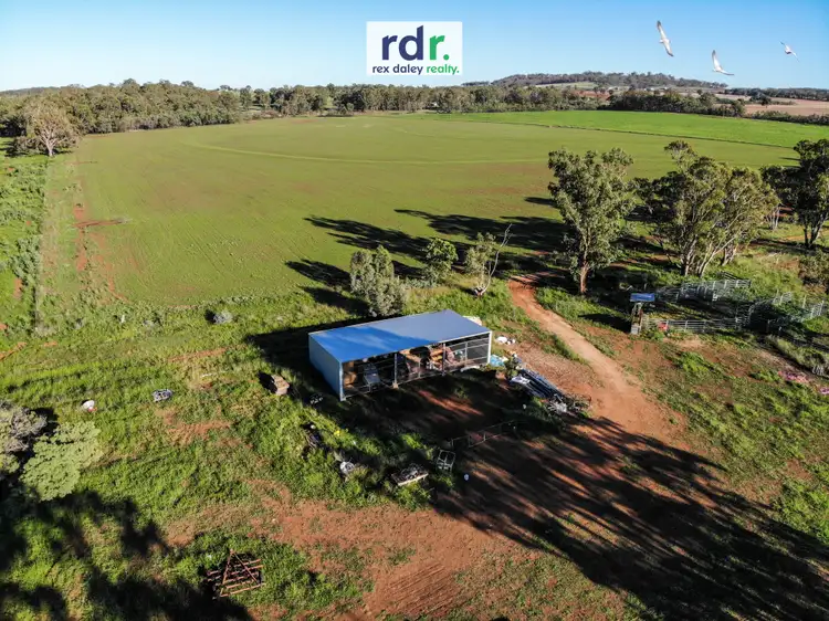 Seventh view of Homely rural property listing, 711 Mount Russell Rd, Inverell NSW 2360