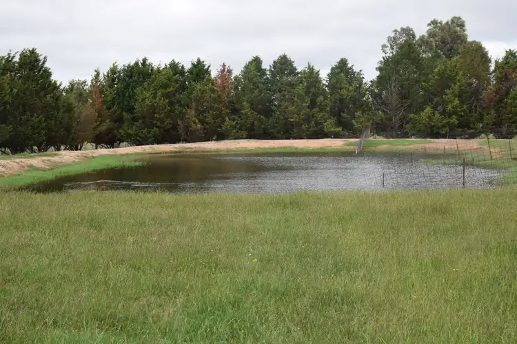 Second view of Homely rural property listing, 3713 Thunderbolts Way, Uralla NSW 2358